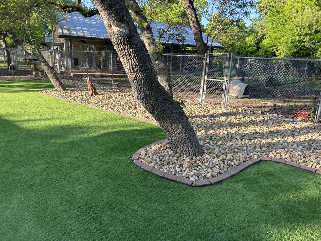Artificial turf backyard with rock-bordered tree beds