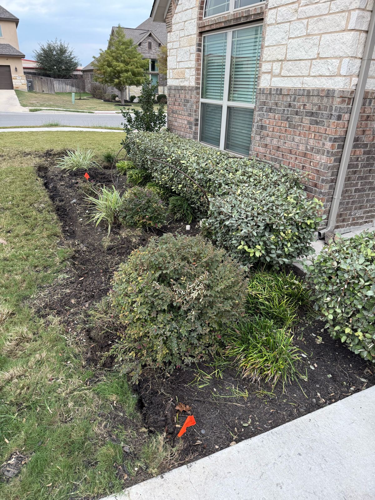 Before: overgrown front bed corner with bare soil