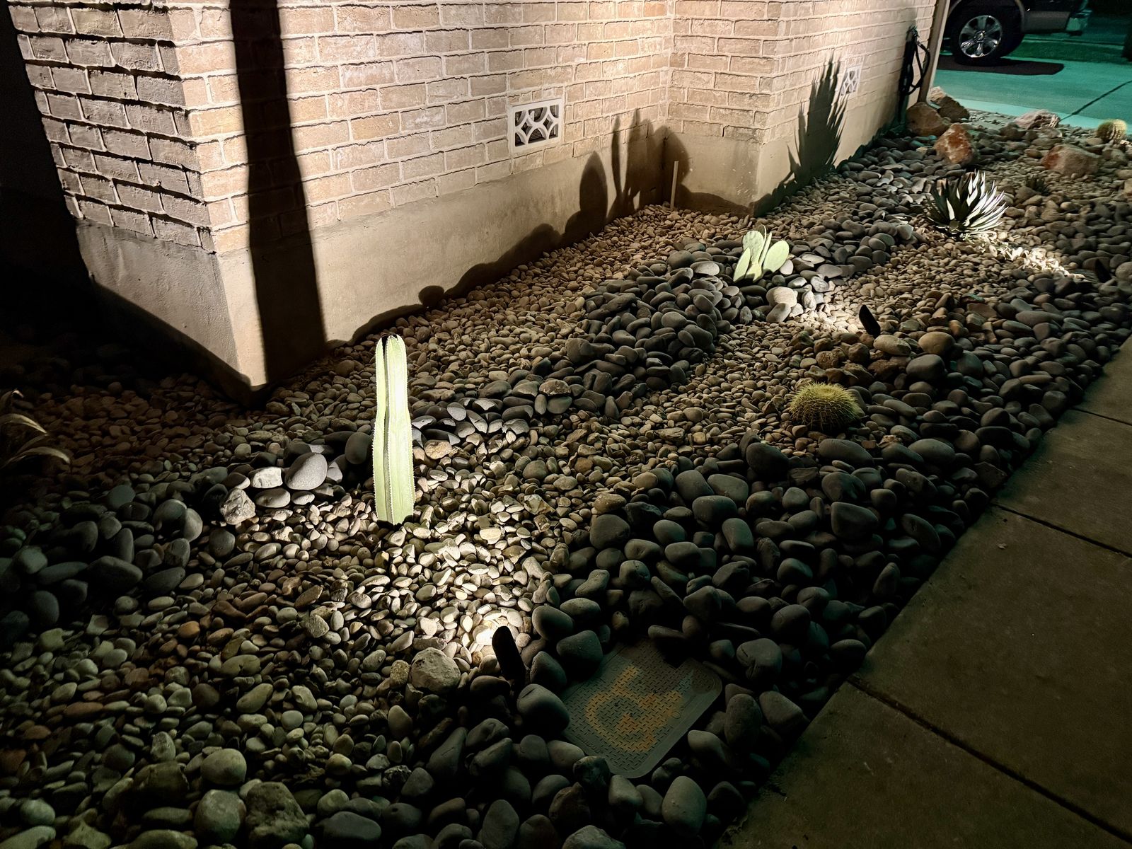 The same xeriscape bed at night with low-voltage uplights