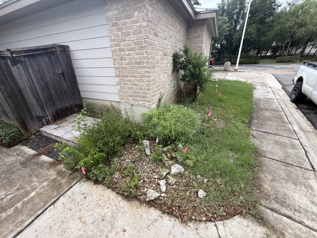 Oakwell Farms Xeriscape & Landscape Lighting Before: overgrown grass and weeds in a side bed between a brick home, a wooden gate and the sidewalk