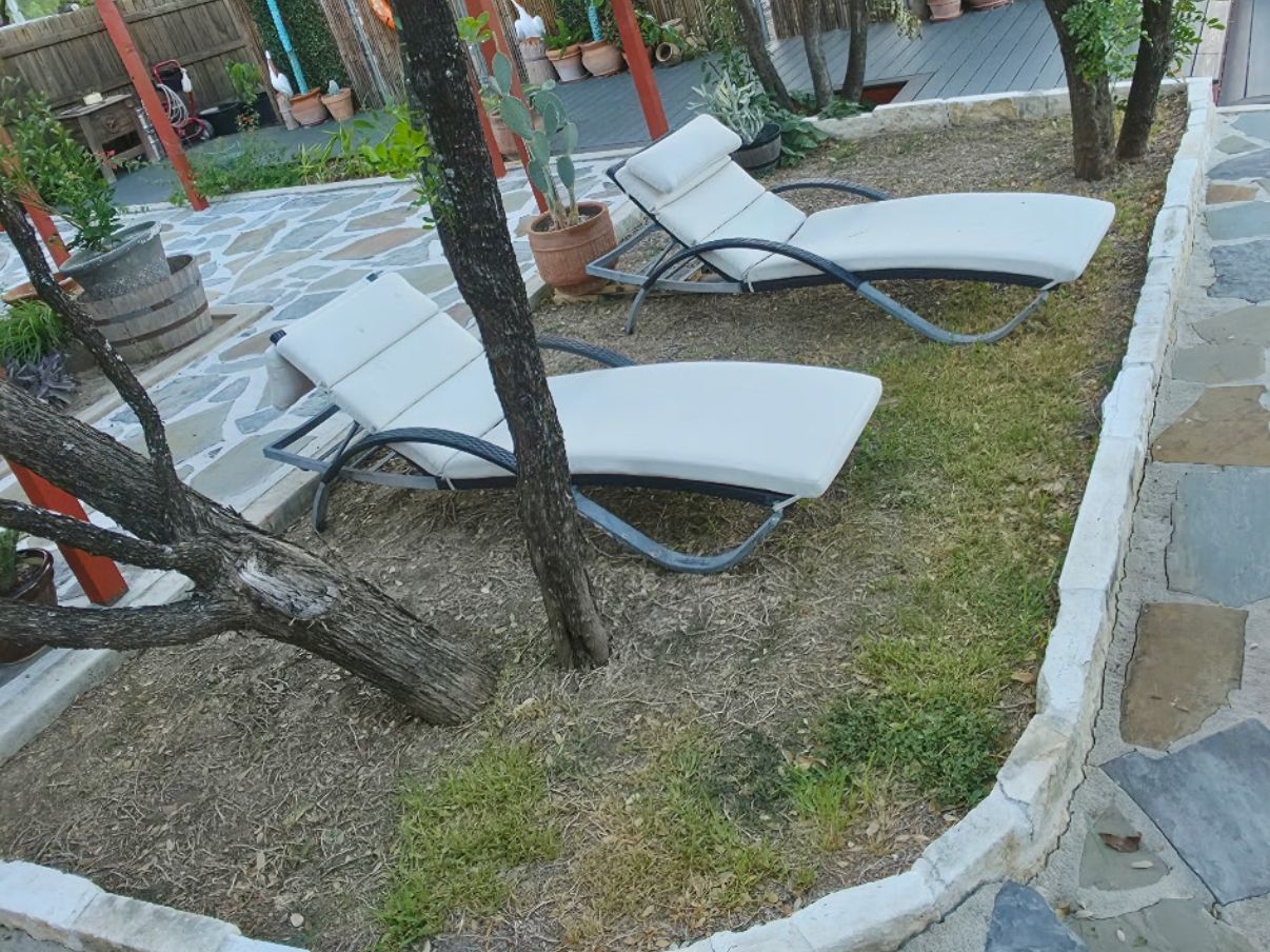 Backyard before: patchy dirt and mulch under shade trees