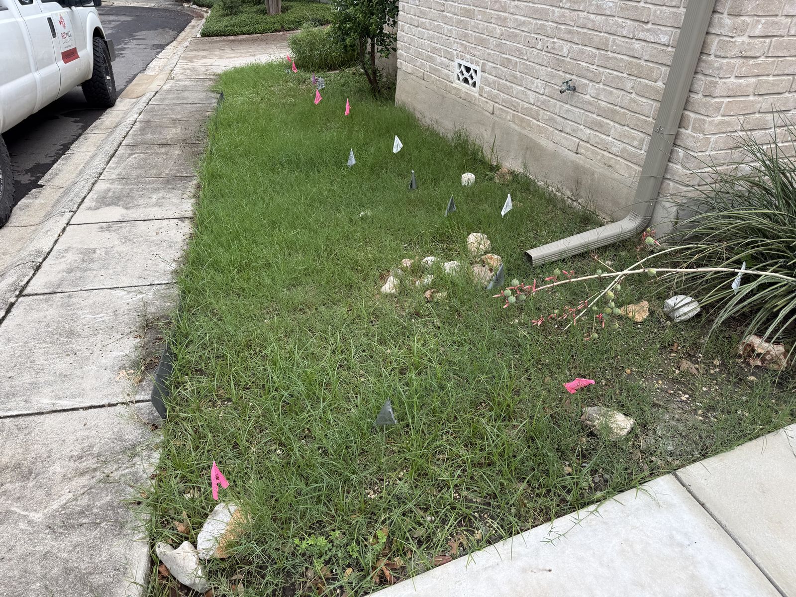 Before: weedy grass strip between the sidewalk and a brick house